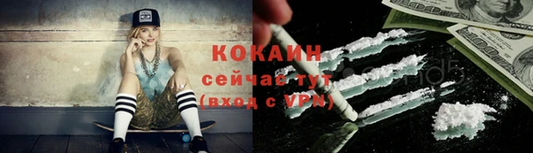 ПСИЛОЦИБИНОВЫЕ ГРИБЫ Корсаков