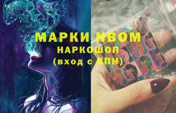 ПСИЛОЦИБИНОВЫЕ ГРИБЫ Корсаков