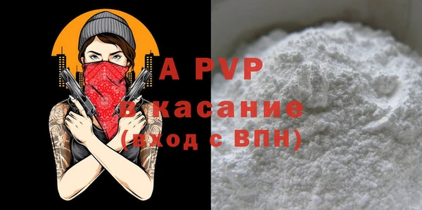 ПСИЛОЦИБИНОВЫЕ ГРИБЫ Корсаков
